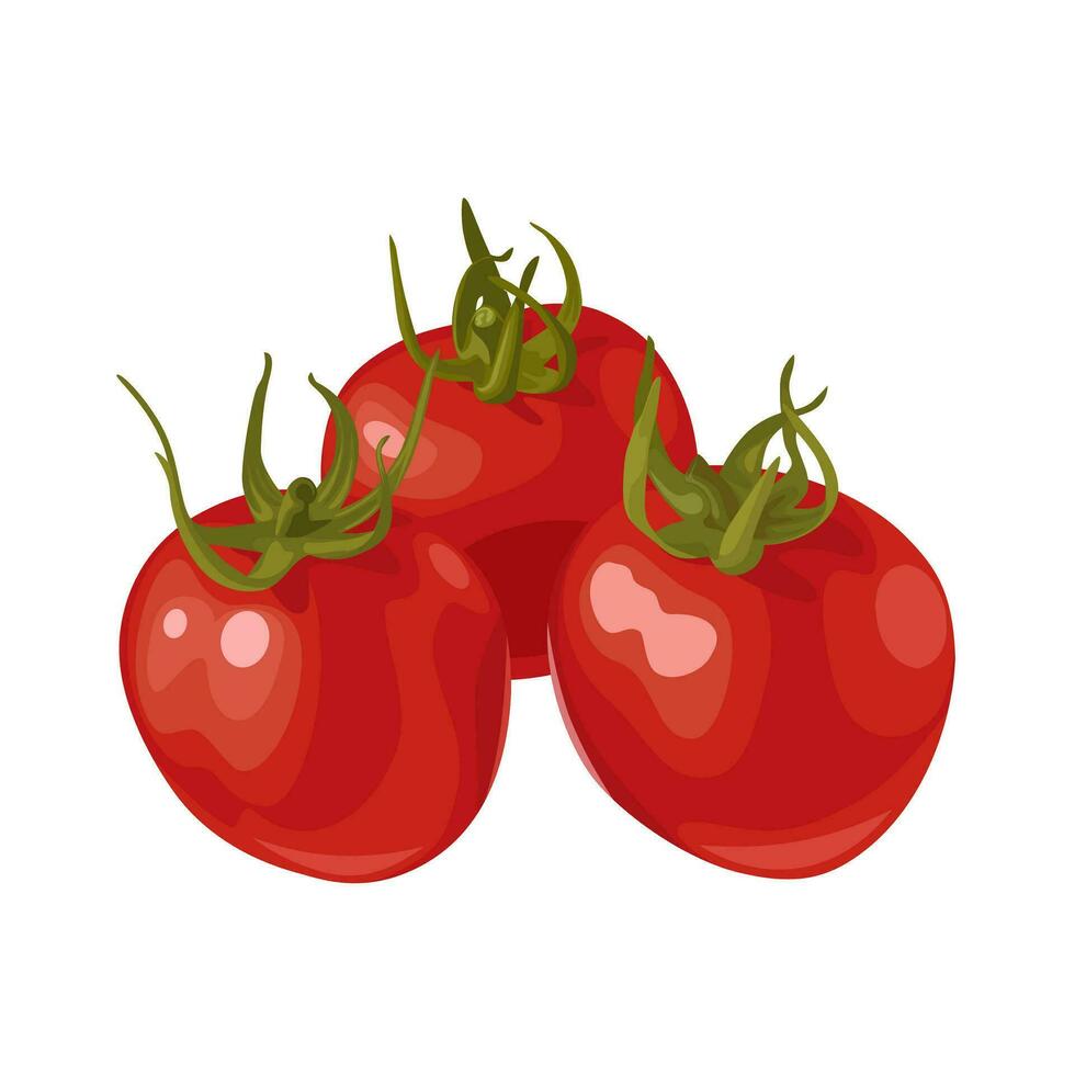 Vector illustration, cherry tomatoes, isolated on white background.