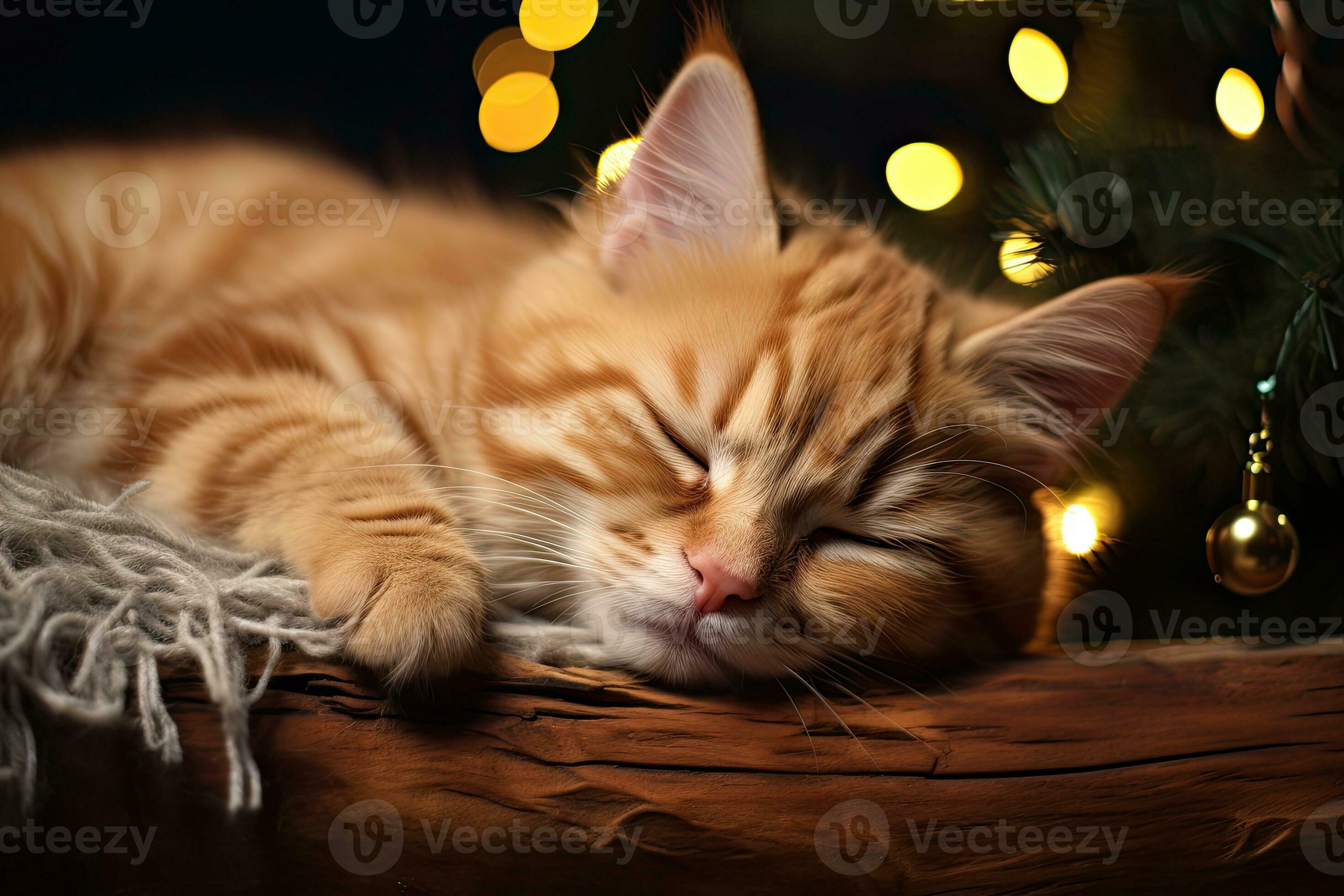 cat sleeping under the Christmas tree. Generative AI 32405313 Stock