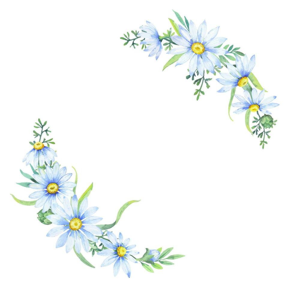 watercolor wreath with chamomile flowers. Floral round border of daisies. vector