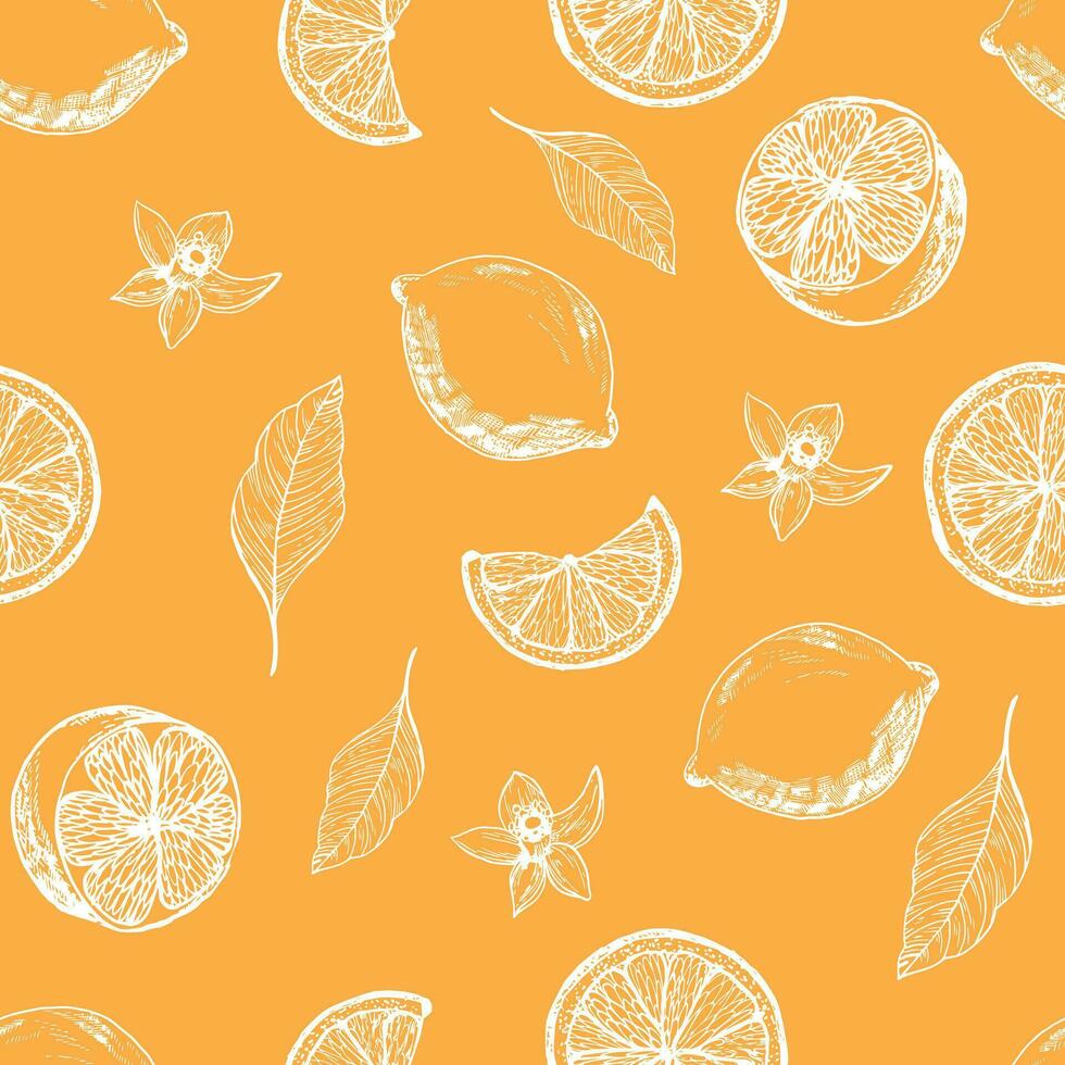 Graphic pattern with lemons, lemon slices with flowers. Seamless pattern with summer lemons, hand-drawn in ink. Vector background with citrus fruits and flowers, branches. Yellow lemons