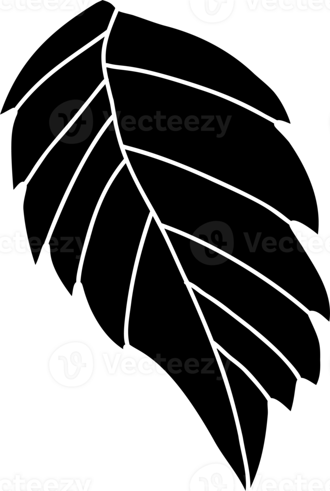 Decorative leaf plant 32405746 PNG