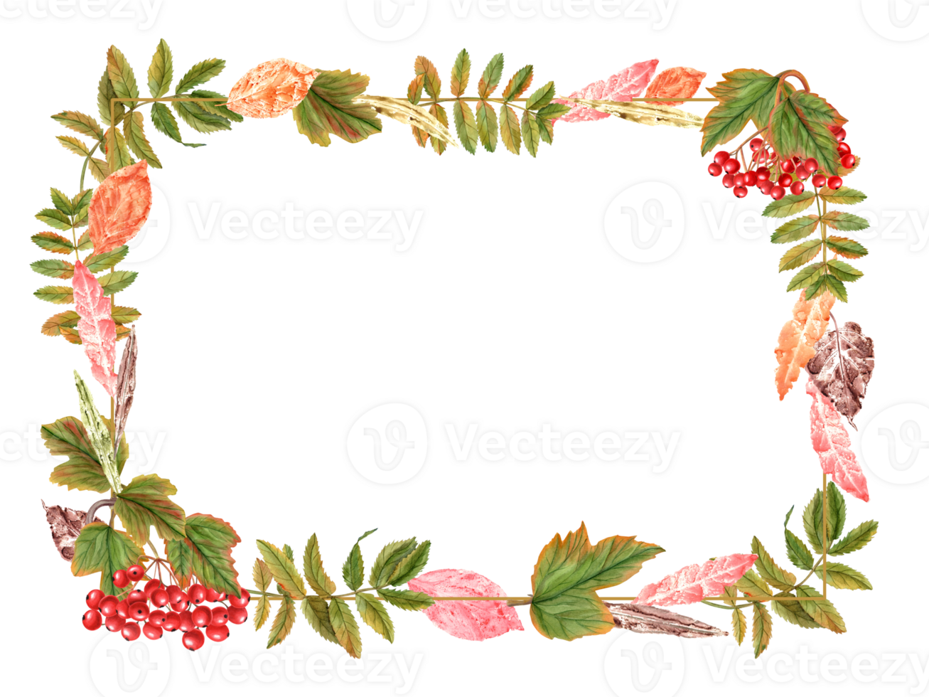 Horizontal frame with autumn leaves and bunch of ripe viburnum berries, rowan berries. Guelder rose, Sorbus aucuparia, mountain-ash, quick beam. Watercolor illustration. Space for text png