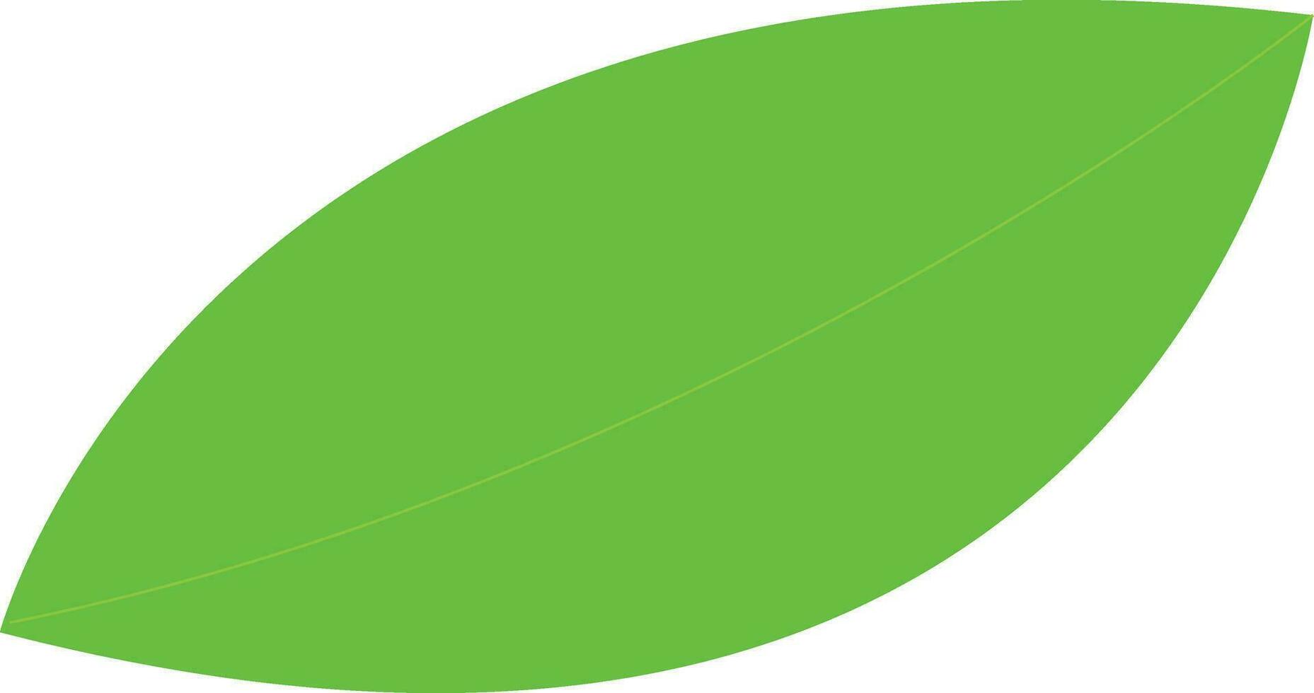 leaf vector illustration