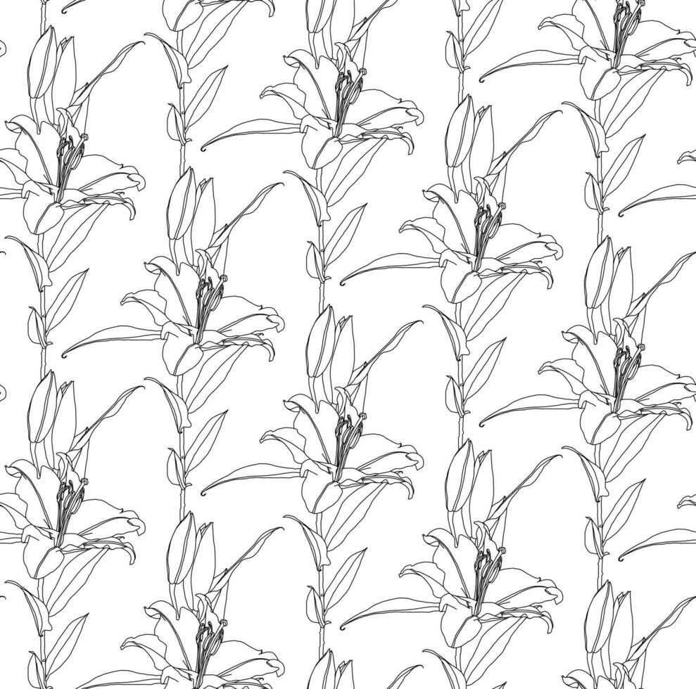 Floral seamless pattern of black linear drawing of lily flowers on white background. Decorative print for wallpaper, coloring, wrapping, textile, fashion fabric or other printable covers vector