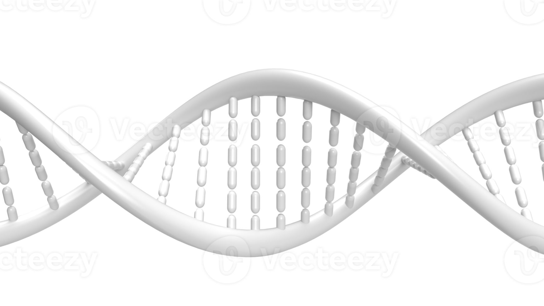 The DNA image for sci or education concept 3d rendering png