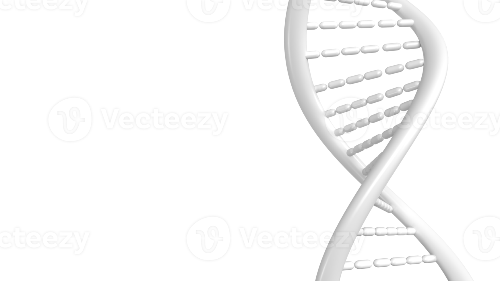 The DNA image for sci or education concept 3d rendering png