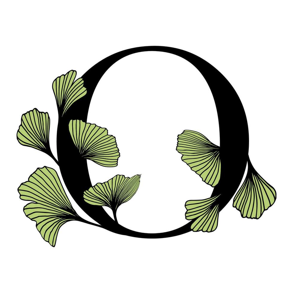 Ginkgo leaves hand drawn branch vector