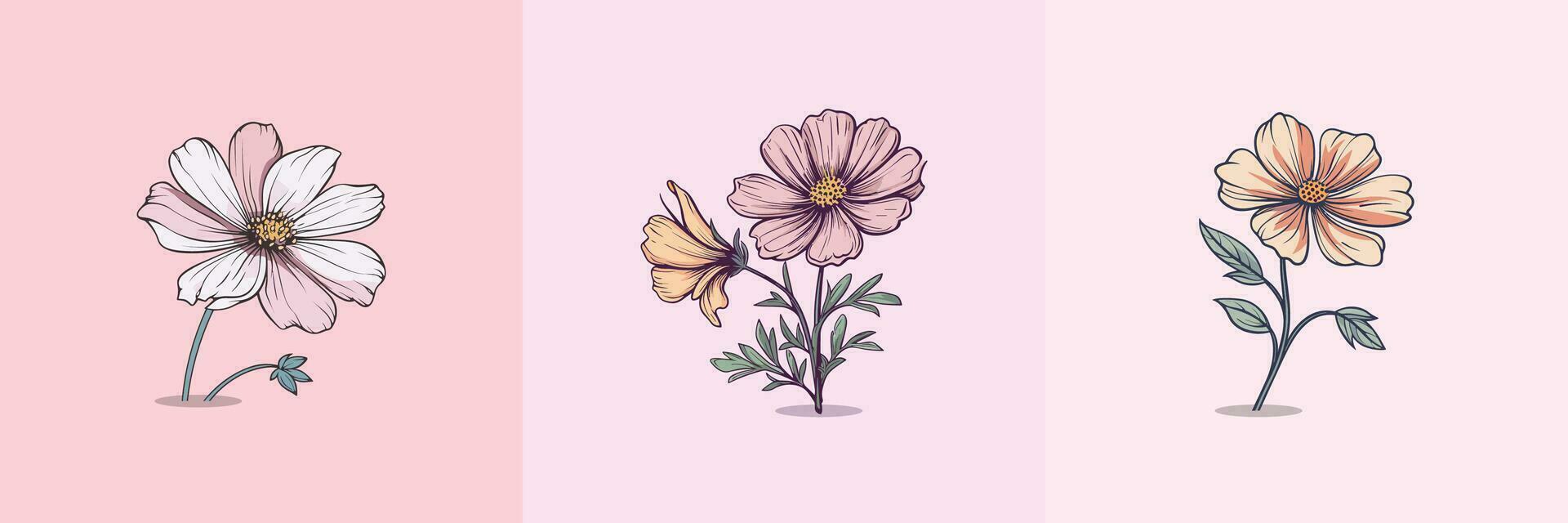 cosmos flower vector clip art illustration