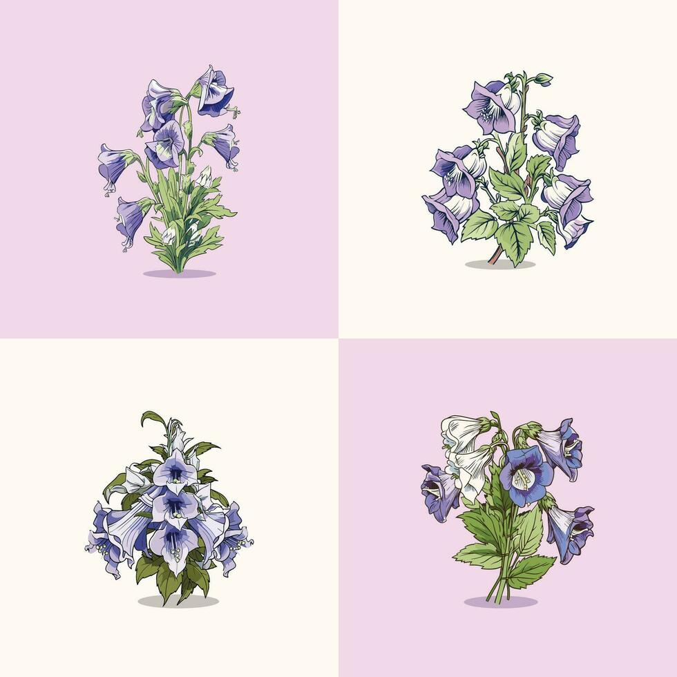 canterbury bells vector clip art illustration
