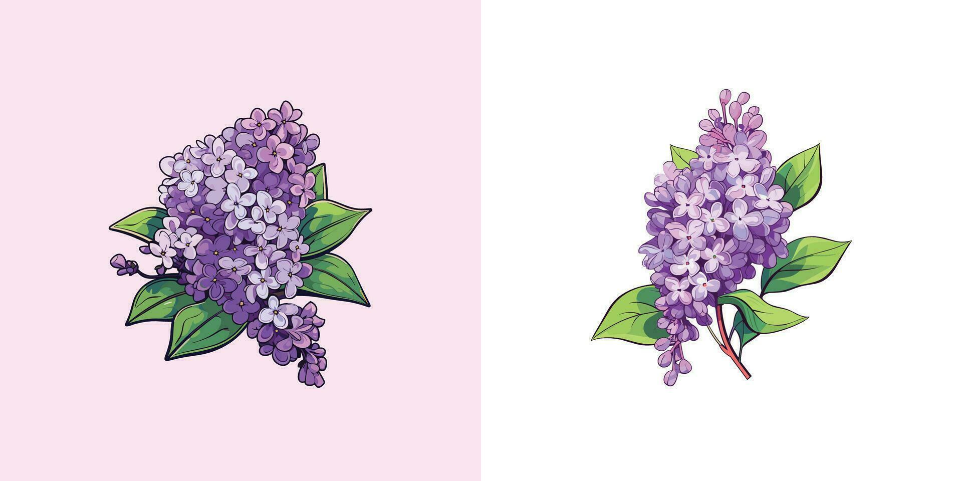 lilac vector clip art illustration