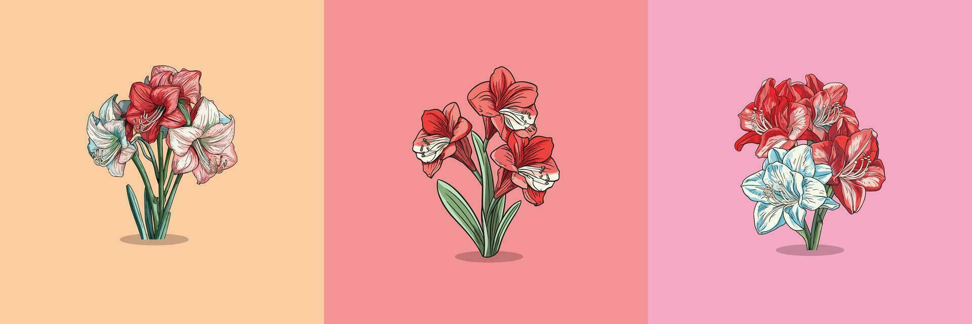 amaryllis vector clip art illustration