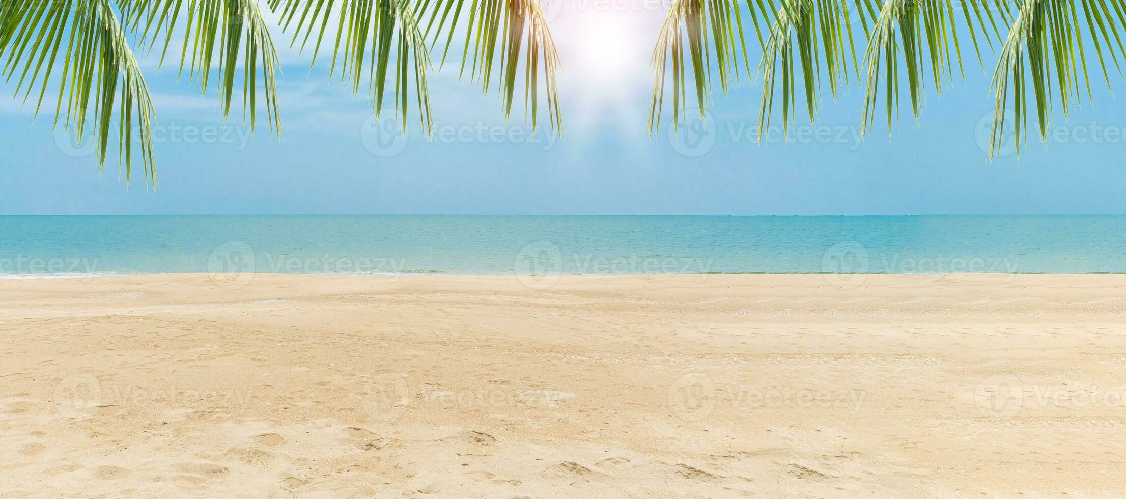 Green leaves of Palm coconut trees against blue sky and beautiful beach on day. View with of nice tropical beach. Vacation holidays background. Wallpaper. Copy space bottom side for design or content photo