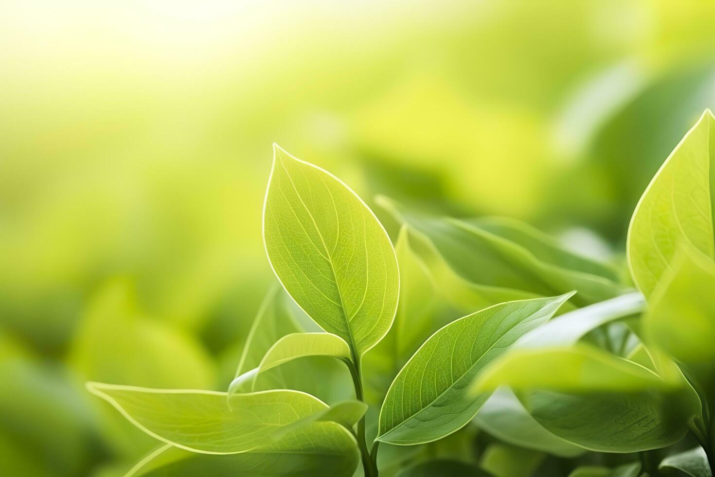 Nature of green leaf in a garden in summer under sunlight. Spring background. AI Generated photo