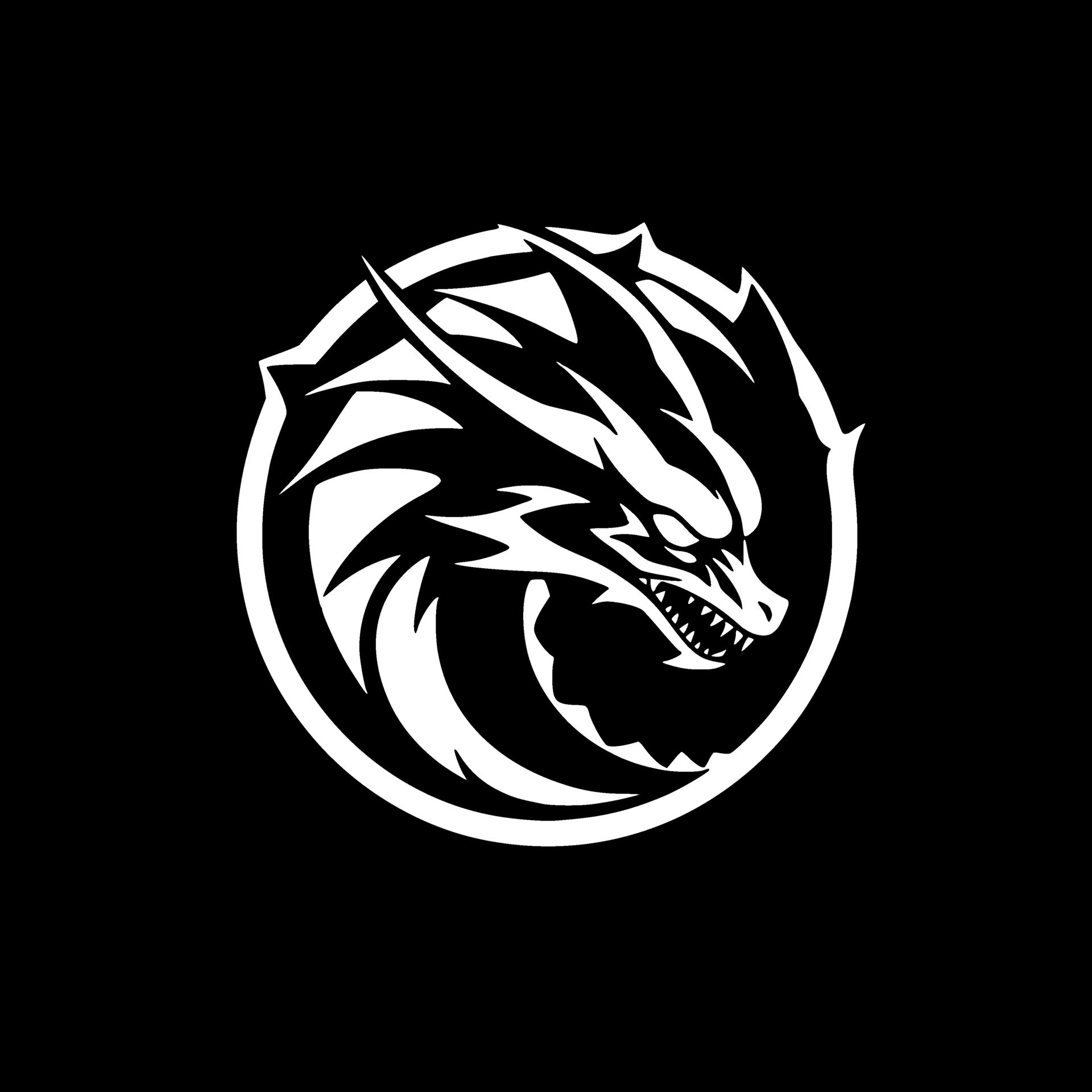 Dragon, Black and White Vector illustration 32413278 Vector Art at Vecteezy