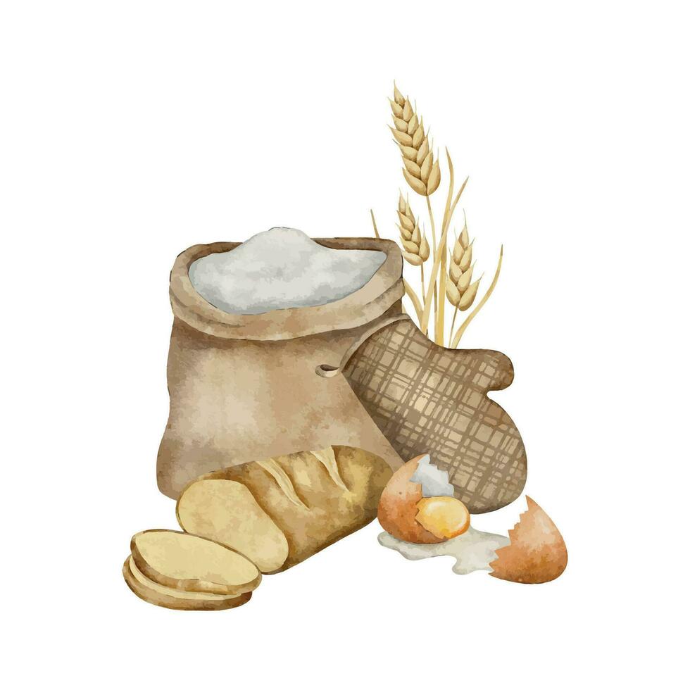 Flour sack, potholder, bunch of spikelets of wheat, rye, grains, the broken shell of a chicken egg and sliced fresh bread. Hand drawn watercolor illustration for package, poster, bakery labels vector