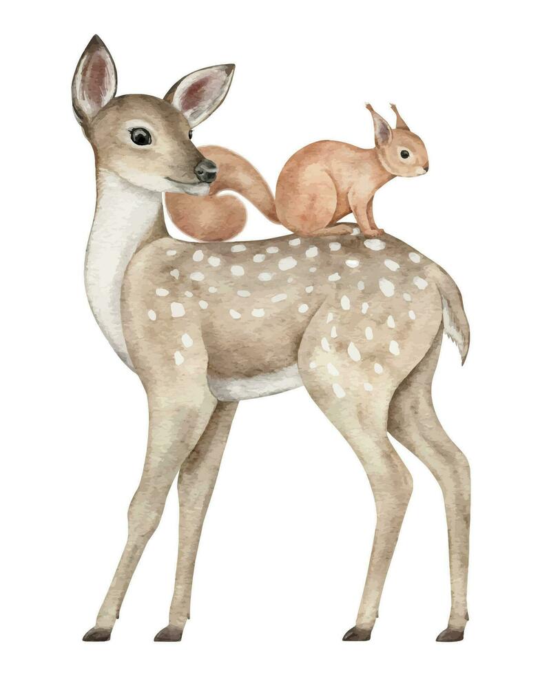 Watercolor Fawn and squirrel. Deer for wall stickers, posters, invitation. Hand drawn Woodland animals illustration Perfect for nursery, card, sticker, posters vector