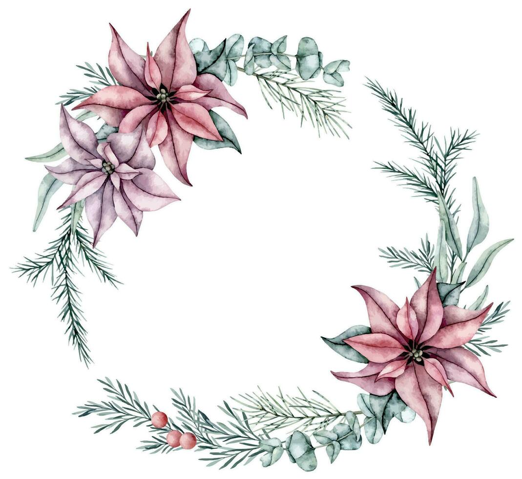 Watercolor wreath of red poinsettia flower, eucalyptus, spruce branch and rosemary twigs with red berries. Botanical Winter Hand drawn illustration for Christmas, wedding invitation, greetings vector