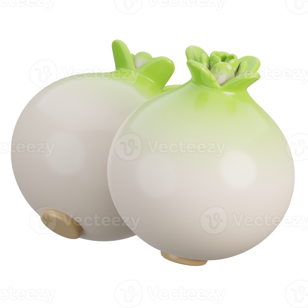 Cartoon fresh two white onion vegetable isolated. 3d render illustration. png