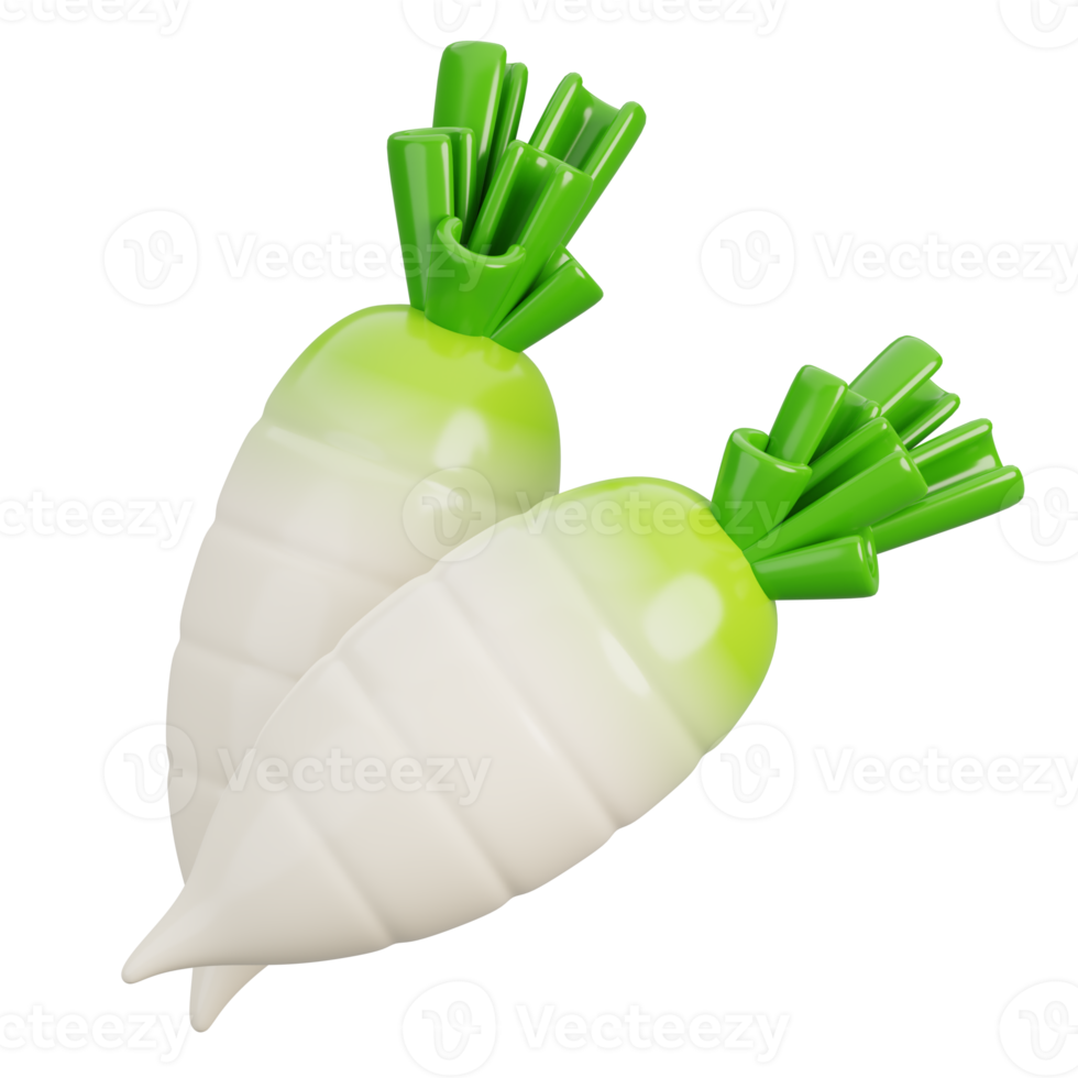 Cartoon fresh two white radish vegetable isolated. 3d render illustration. png