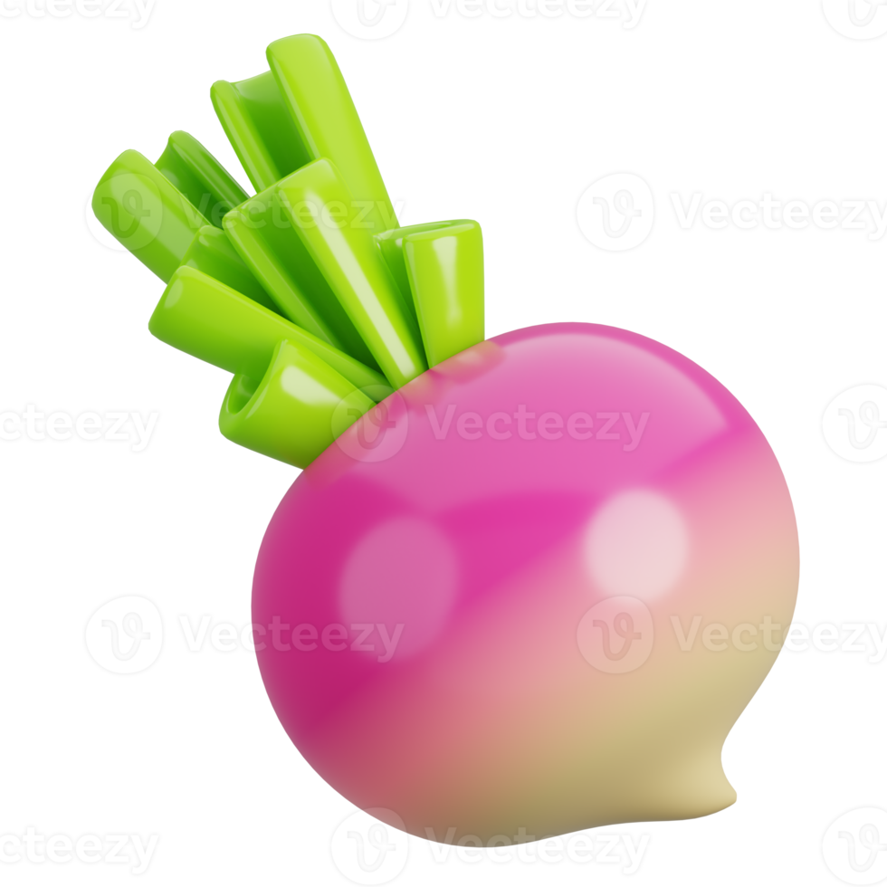 Cartoon fresh spring turnips, Brassica rapa vegetable isolated. 3d render illustration. png