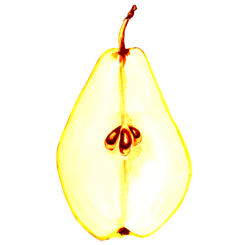 Watercolor yellow pears half with seeds. Hand drawn illustration  for design, holiday invitations and card,  decorations, making stickers, embroidery and packaging, textile. png