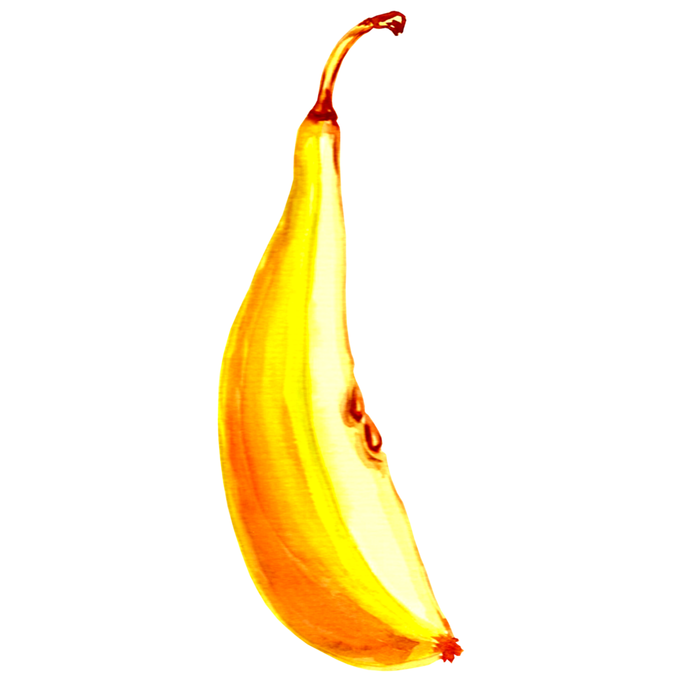 Watercolor yellow pears slice with seeds. Hand drawn illustration  for design, holiday invitations and card,  decorations, making stickers, embroidery and packaging, textile. png