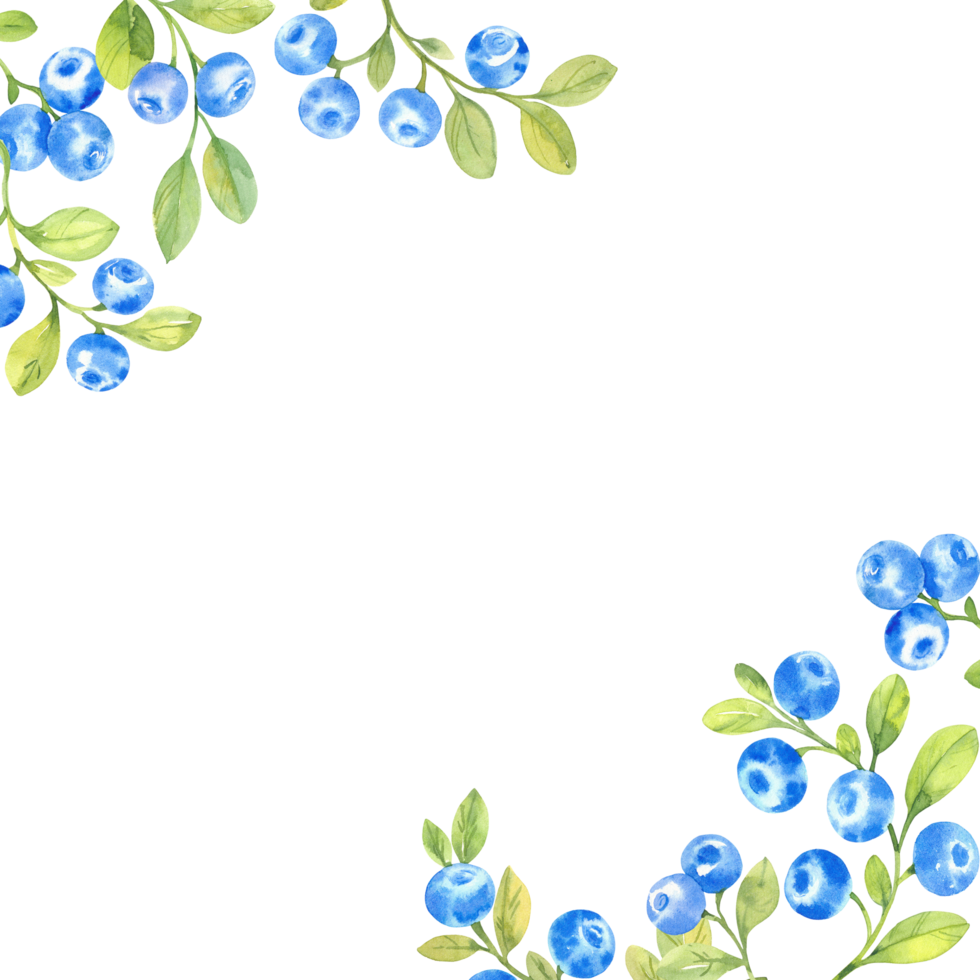 Frame with blueberries, watercolor illustration png