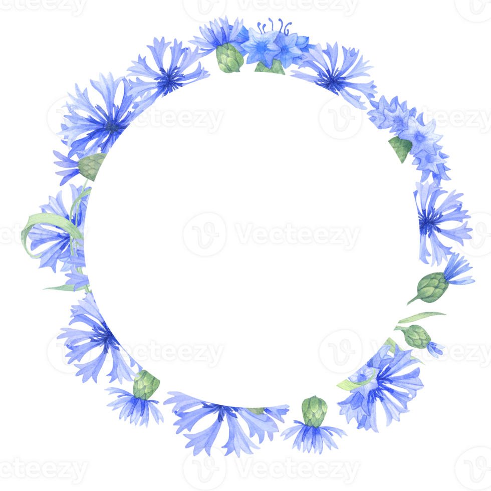 Frame with cornflower flowers. Watercolor illustration with blue flowersm. Vintage  frame with herbs, flowers and leaves png