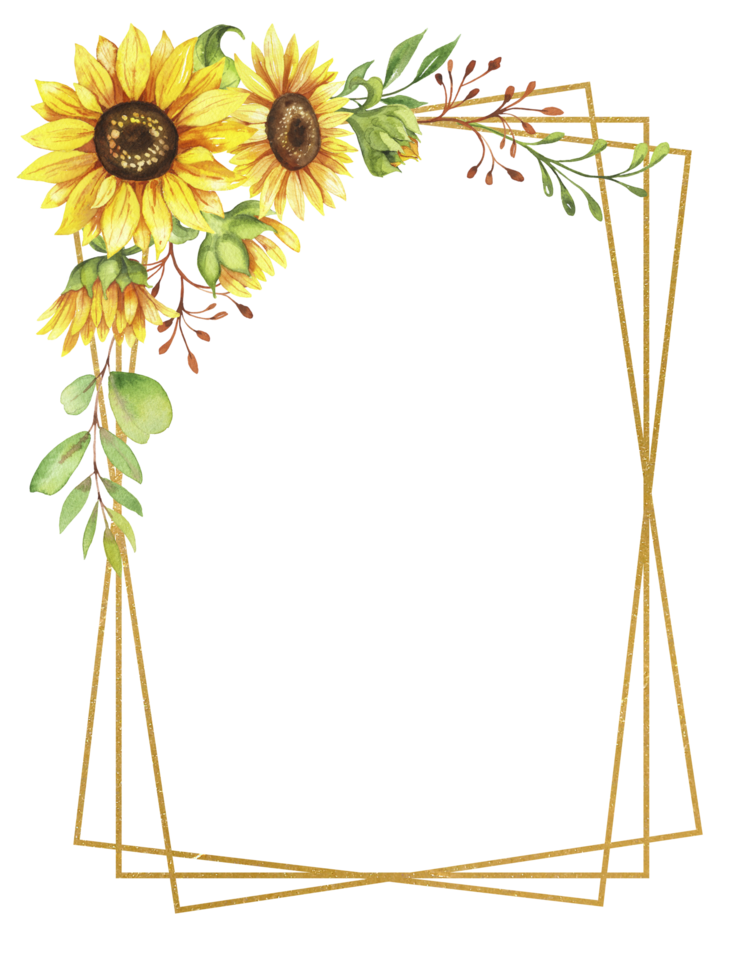 Frame with Sunflowers, yellow flowers, floral illustration png