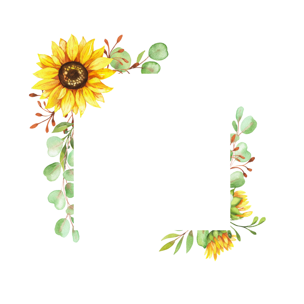 Frame with Sunflowers, yellow flowers, floral illustration png