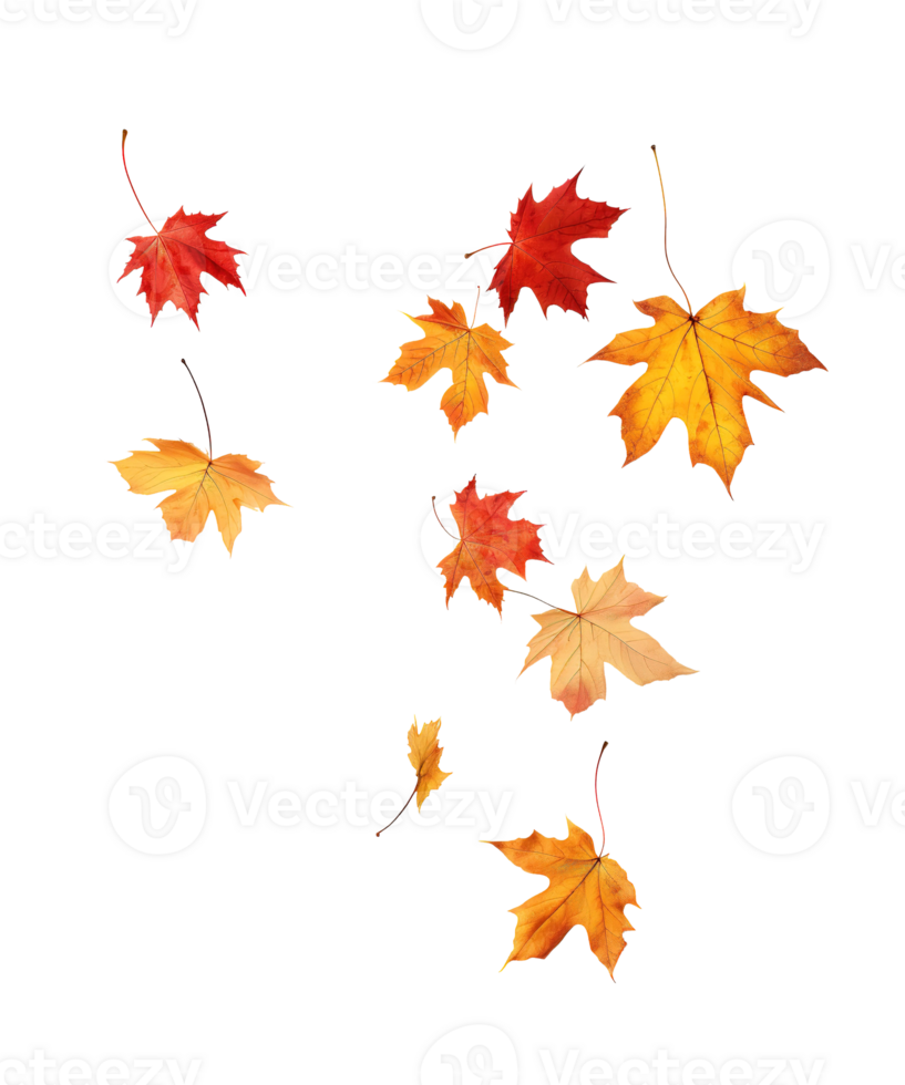 autumn leaves falling isolated ai generative png