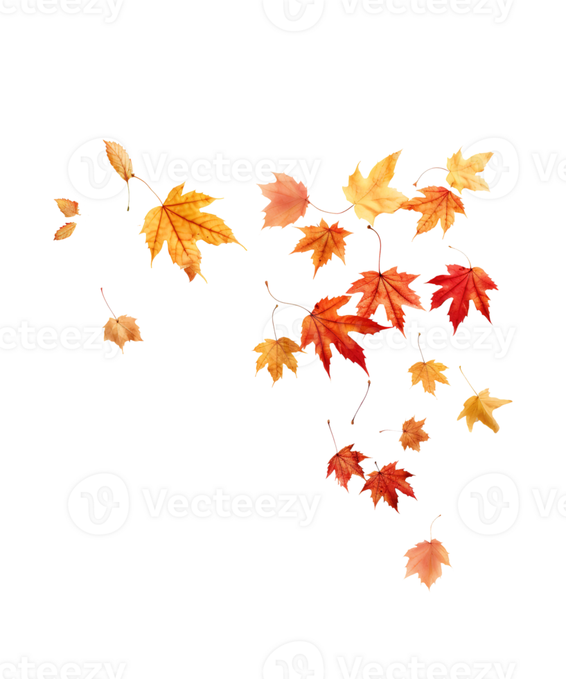 autumn leaves falling isolated ai generative png
