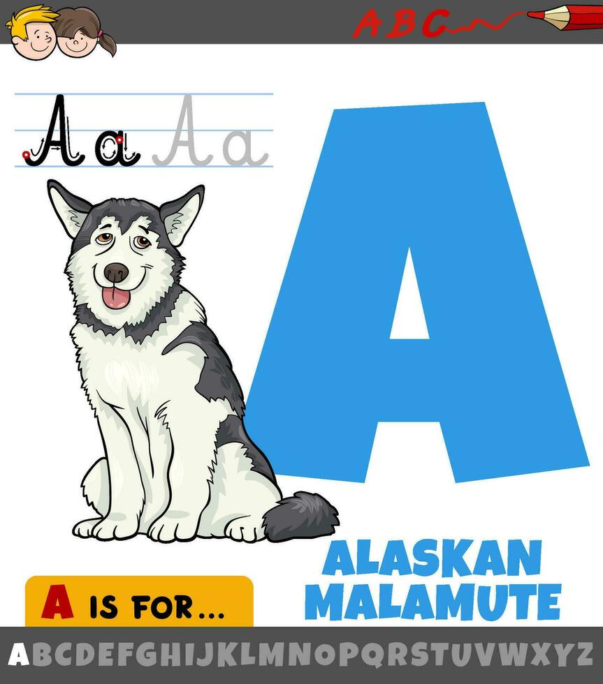 letter A from alphabet with cartoon Alaskan malamute dog vector