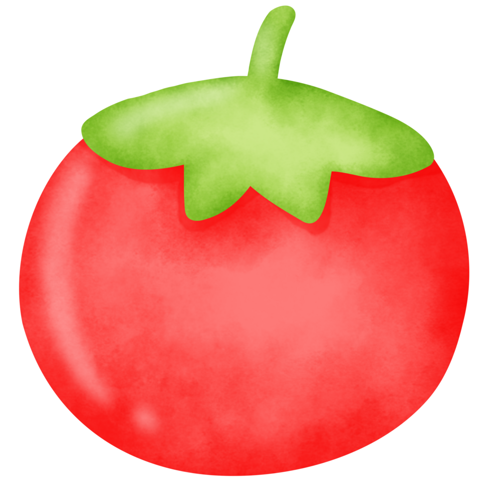 Aquarell Tomate Clip Art - - frisch Digital Gemüse Kunst png