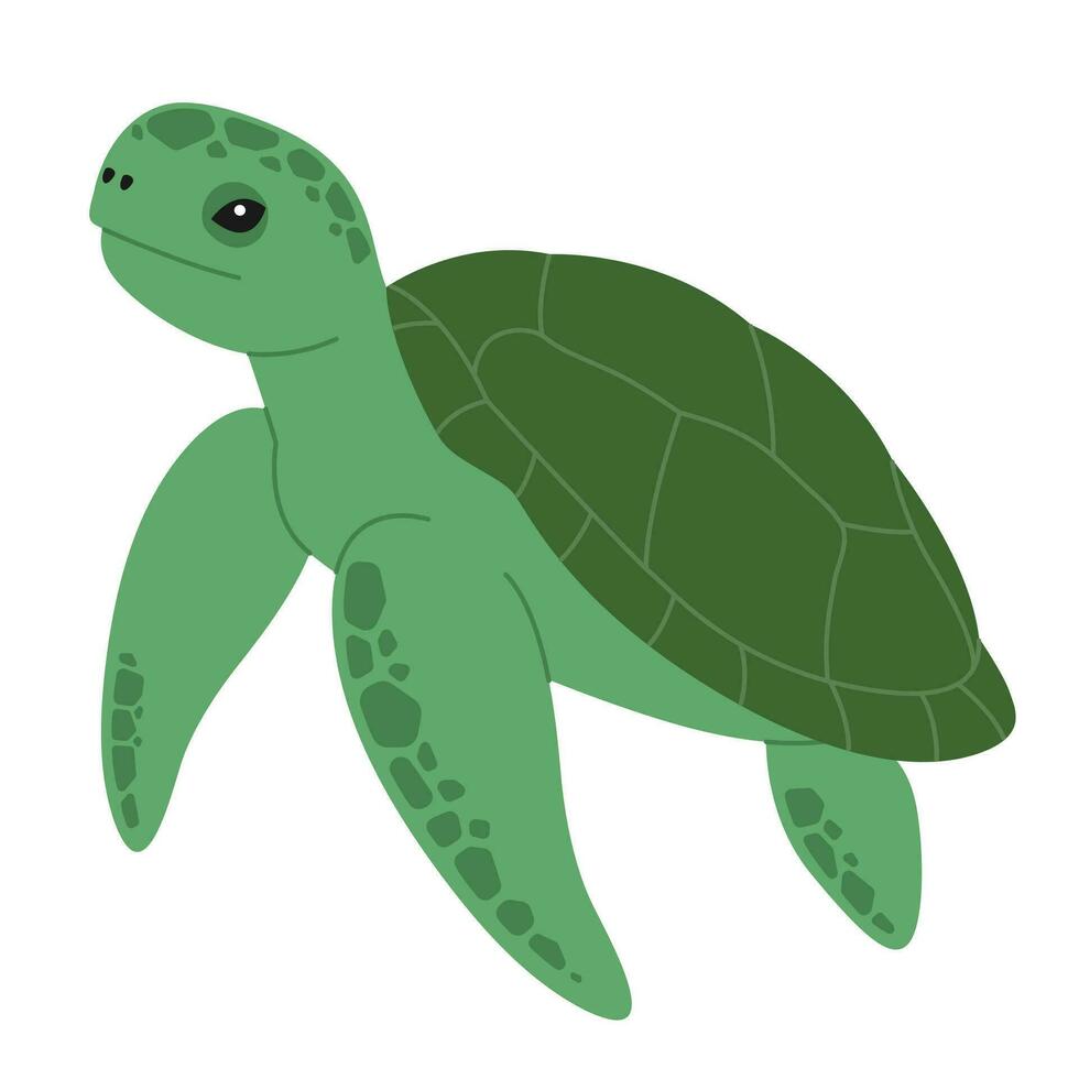 Cute green turtle. Sea and ocean animal. Underwater life. Childish tortoise character. Vector flat illustration isolated on white background