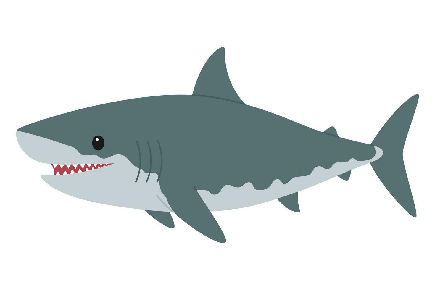 Cute smiling grey shark. Sea and ocean animal predator. Underwater life. Childish character. Vector flat illustration isolated on white background