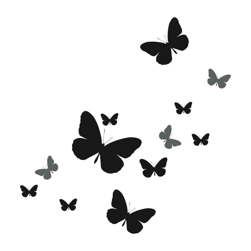 Vector butterfly swarm silhouette on white background