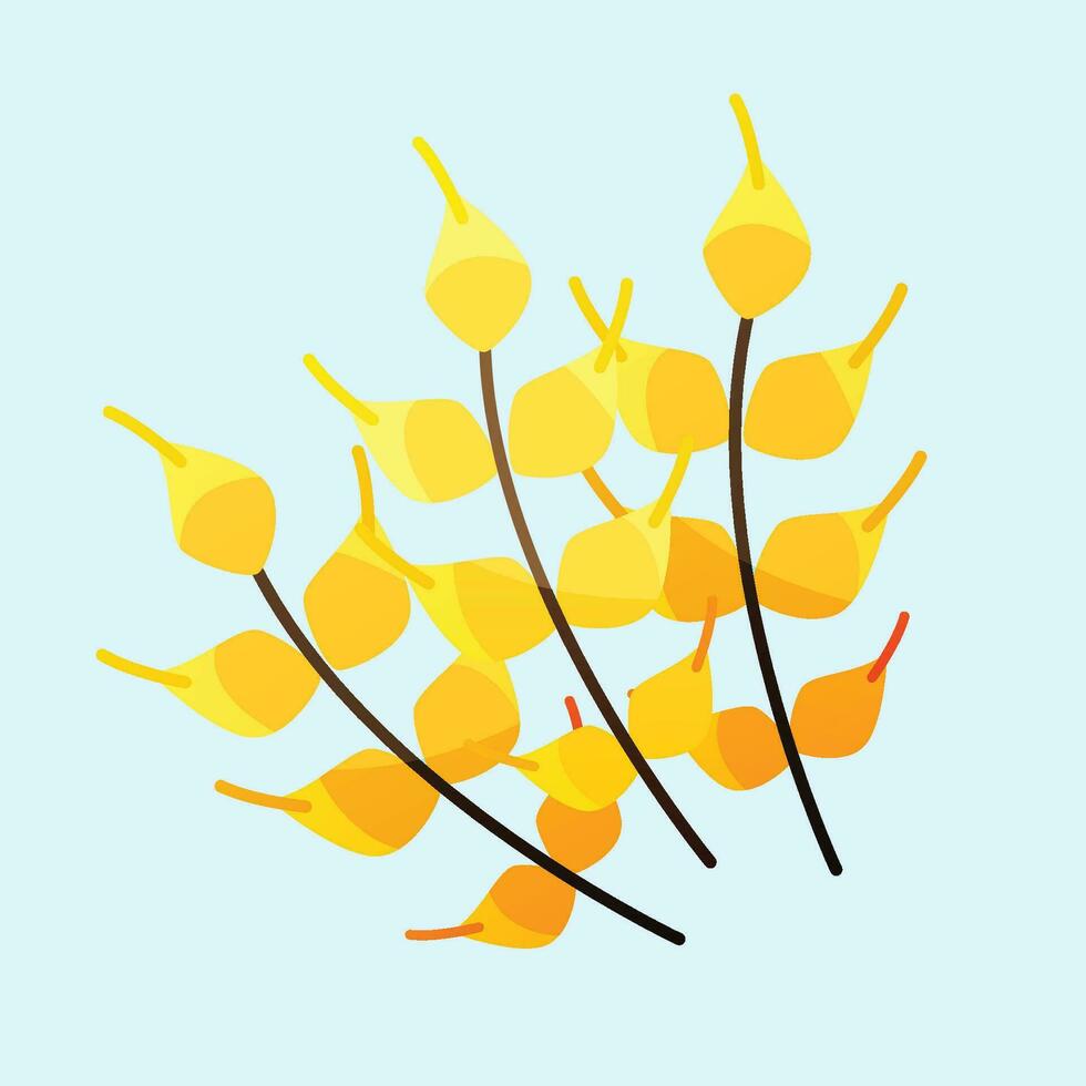 Vector hand drawn mimosa illustration