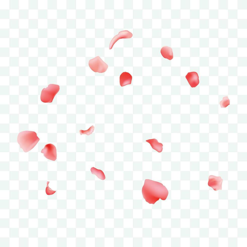 2 Vector falling rose petals background vector design 3d illustration