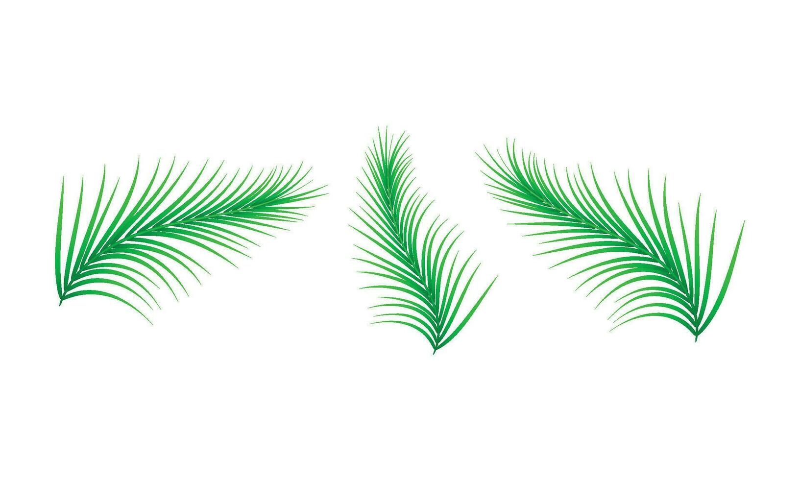 vector colección de realista verde hojas ornamento diseño vector ilustración