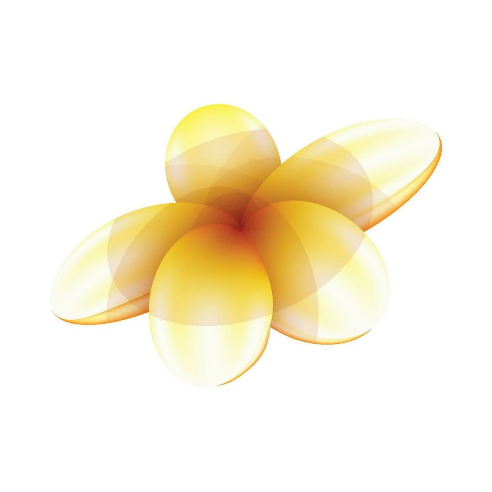 Vector frangipani flower isolated on white background
