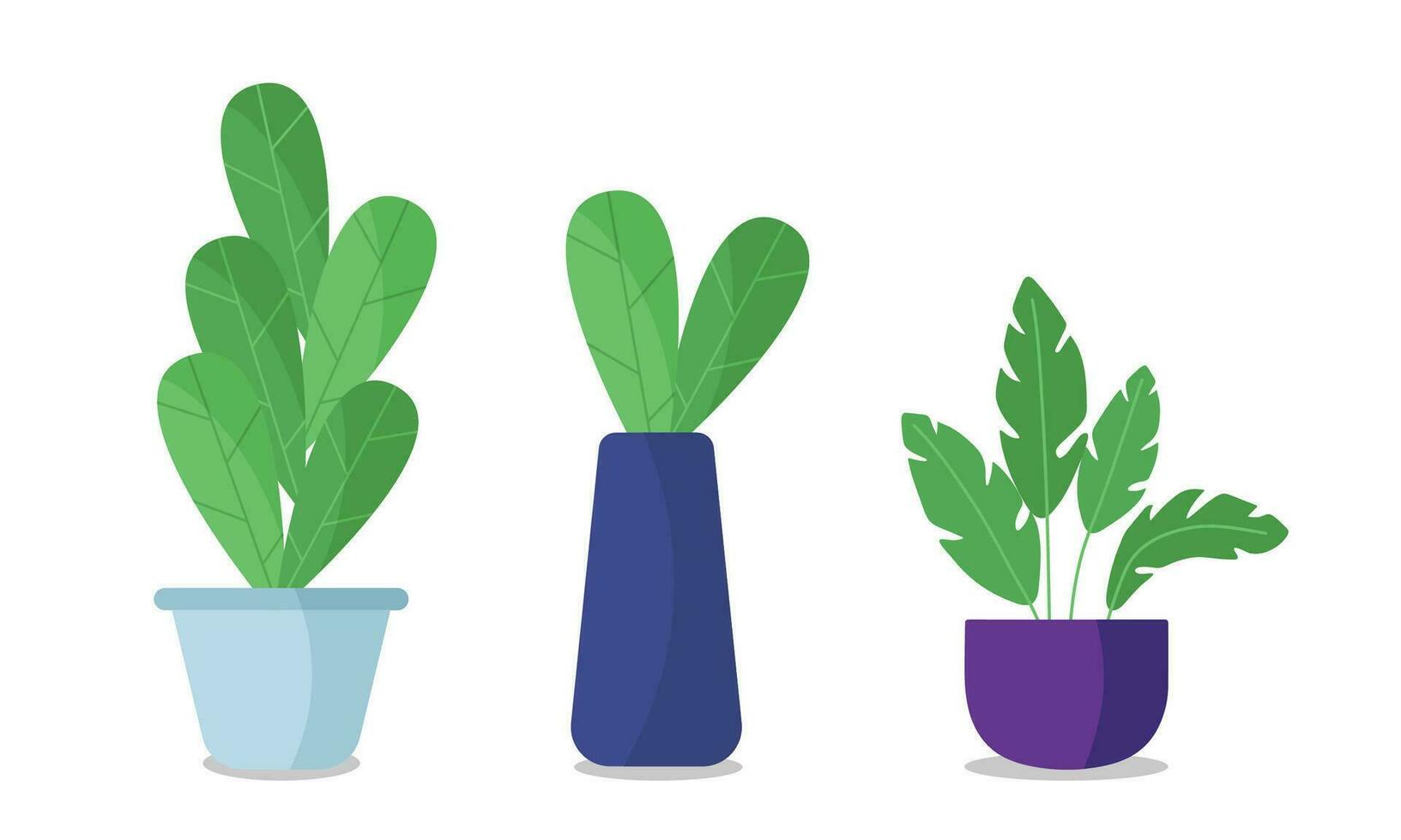 Vector flat houseplants illustrated collection