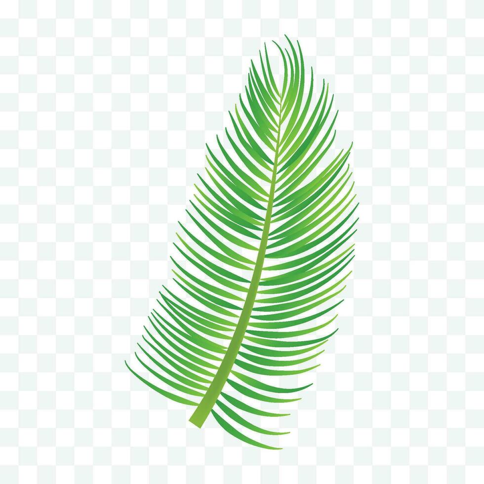 Vector tropical palm leaf isolated on white realistic green summer plant tree set tropic branch vector