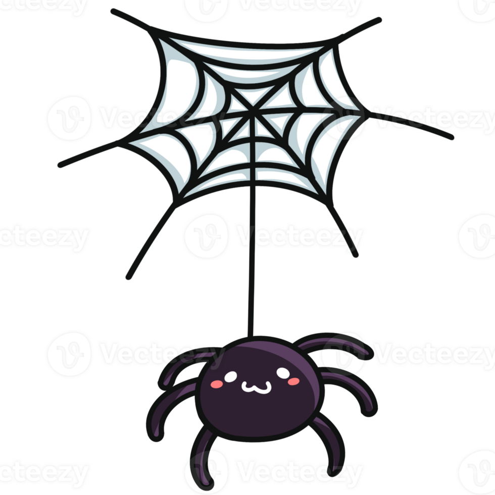 cute Halloween spider with spider web png