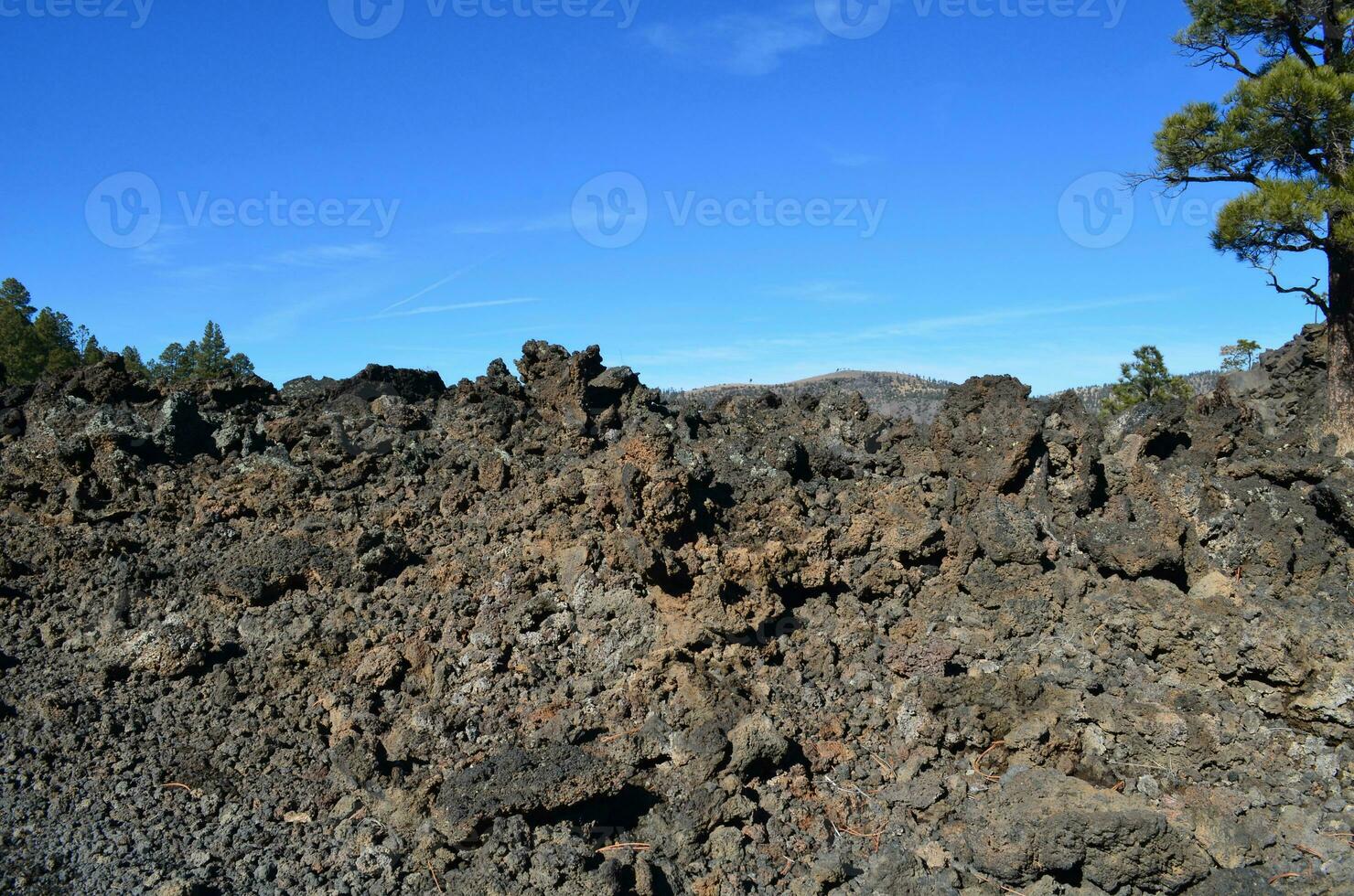 Dark Lava Rock in a Pile Edged with Trees photo