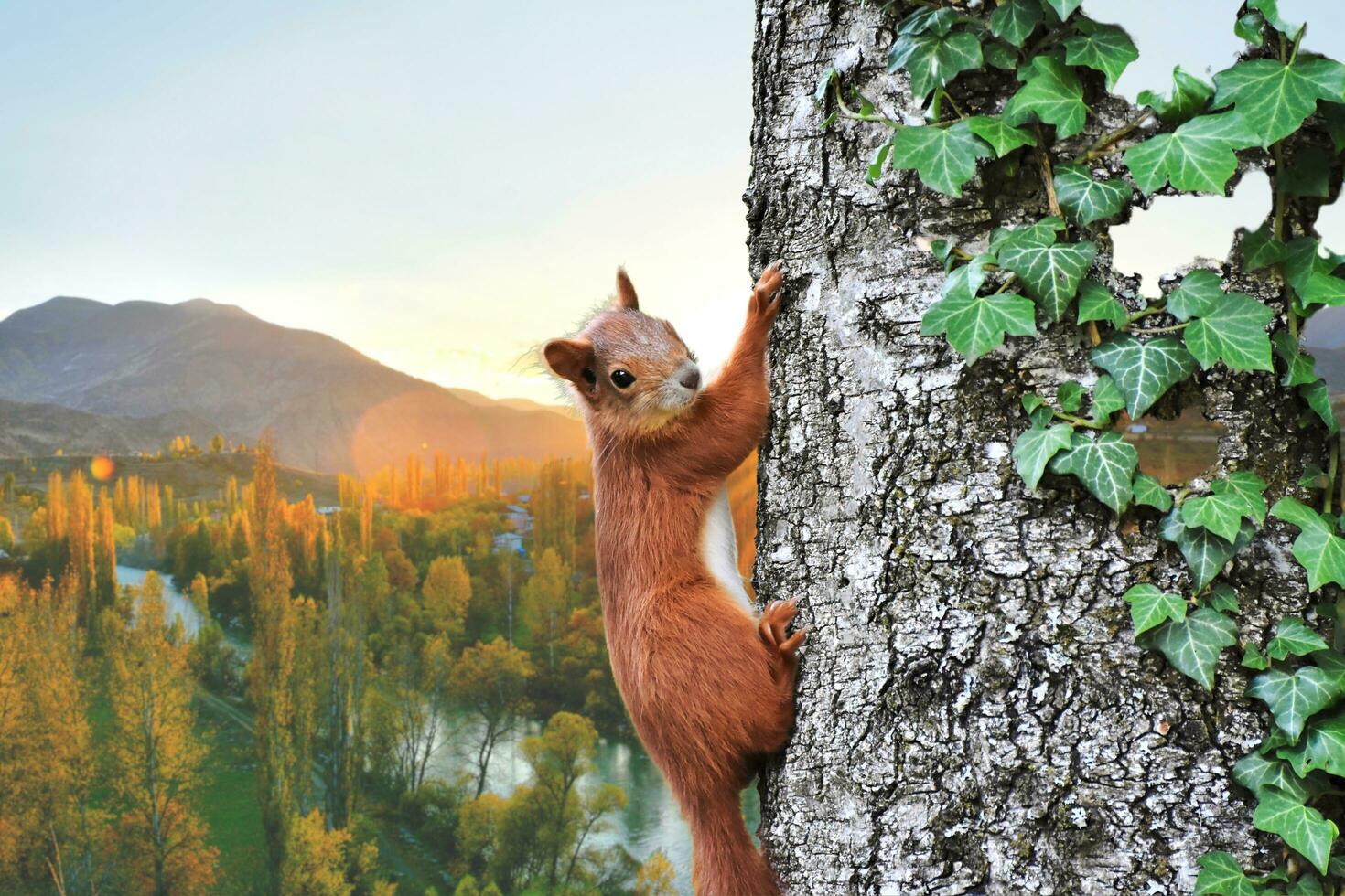 A squirrel standing on a log photo