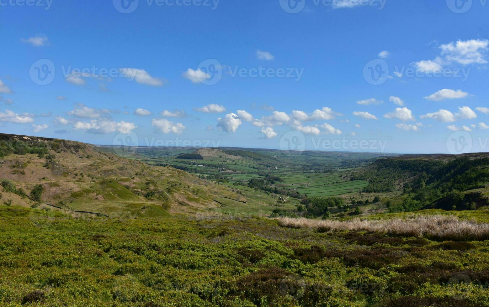 Northern Yorkshire Landscape with Moorland and Boggs photo