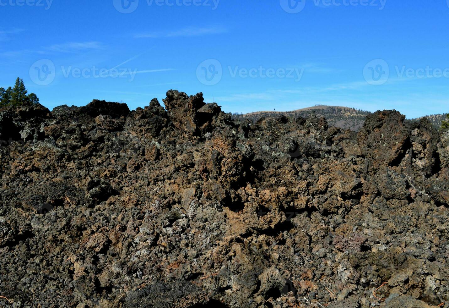 Black Lava Rock Field Under Blue Skies With little plant Growth photo