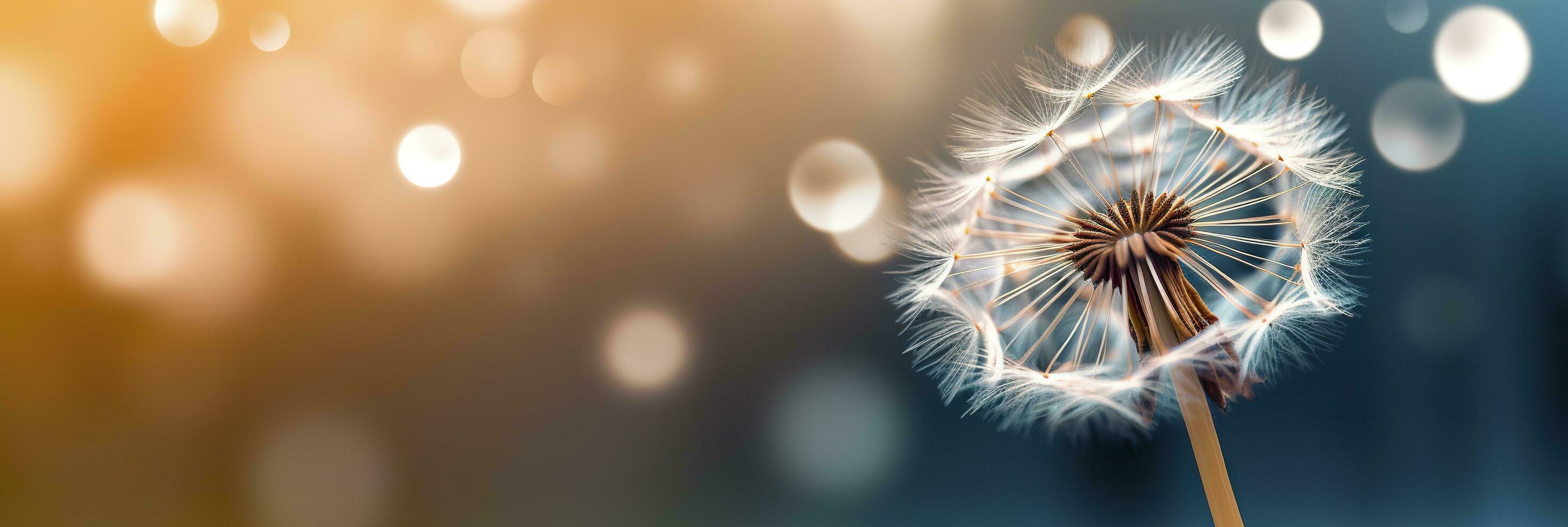 Abstract blurred nature background dandelion seeds parachute. Bokeh pattern. Generative AI photo