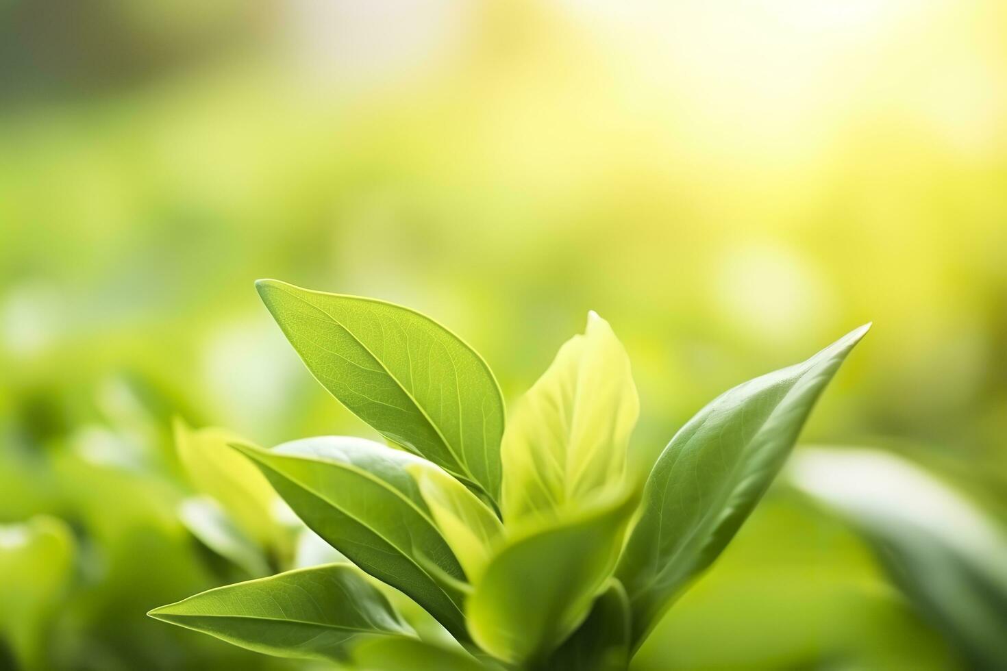 Nature of green leaf in a garden in summer under sunlight. Spring background. AI Generated photo